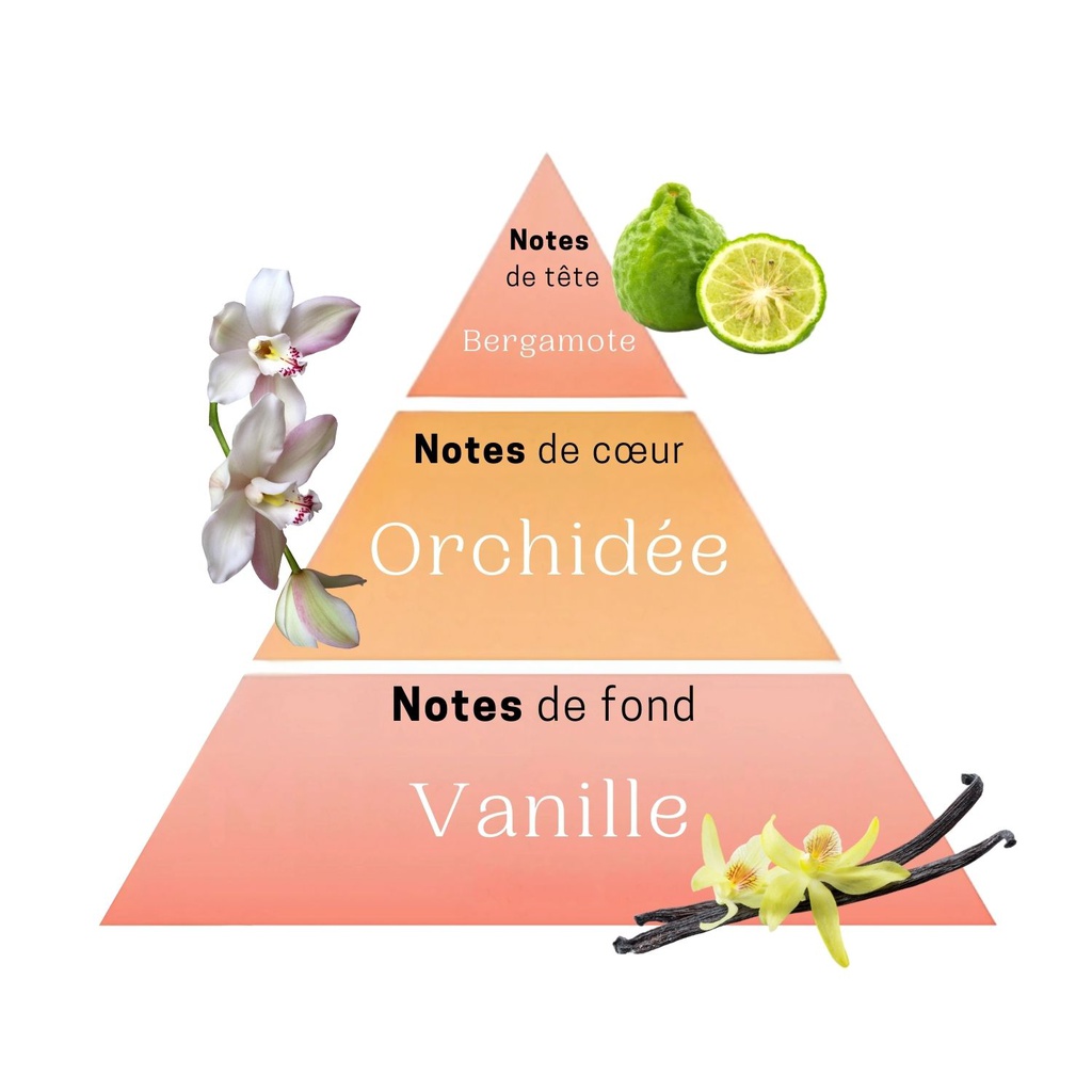 Parfum femme wild orchid 50ml