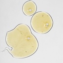 Savon liquide romargania