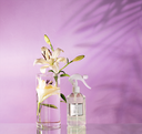 Eau de linge fleur de lys 400 ml