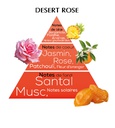 Roll on desert rose 10 ml