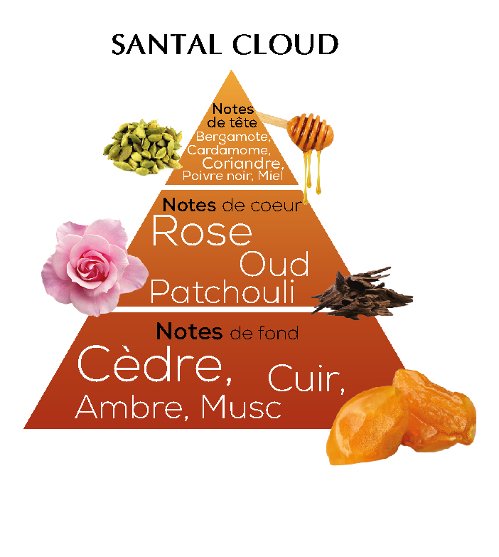 Eau de parfum santal cloud 120 ML