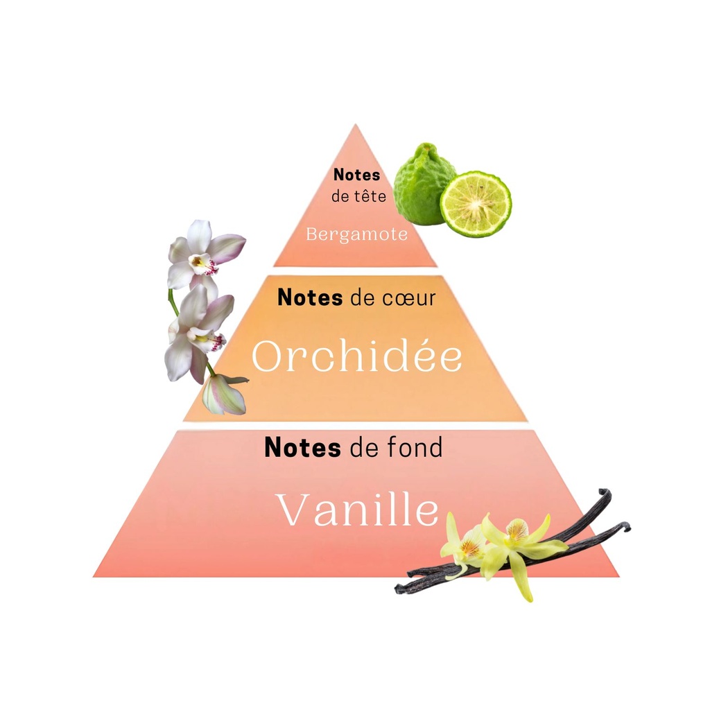 Parfum wild orchid 50 ml