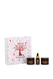 [PF0855] Coffret secret de jeunesse