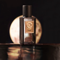 [PF1210] Parfum niche ambre rouge 100ml